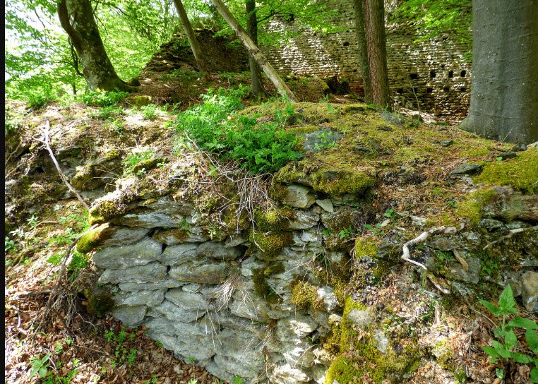 Burgruine Rauterburg , , Austria